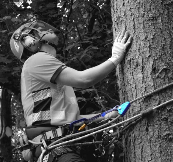 Stein bing Loop Landpower Machinery