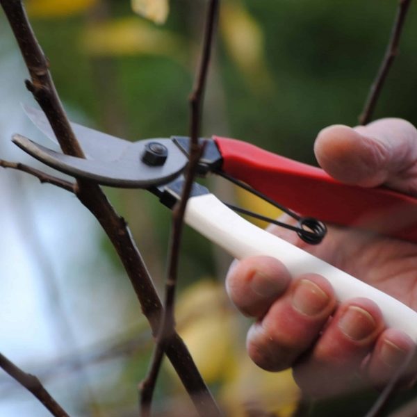 Pruning Shears & Loppers