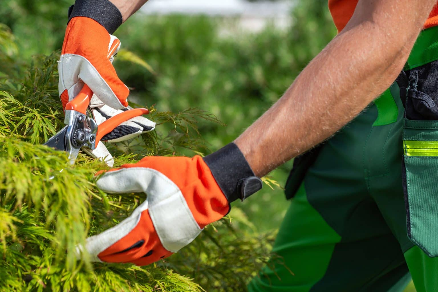 Personal Protective Equipment (PPE) in the Garden Landpower Machinery