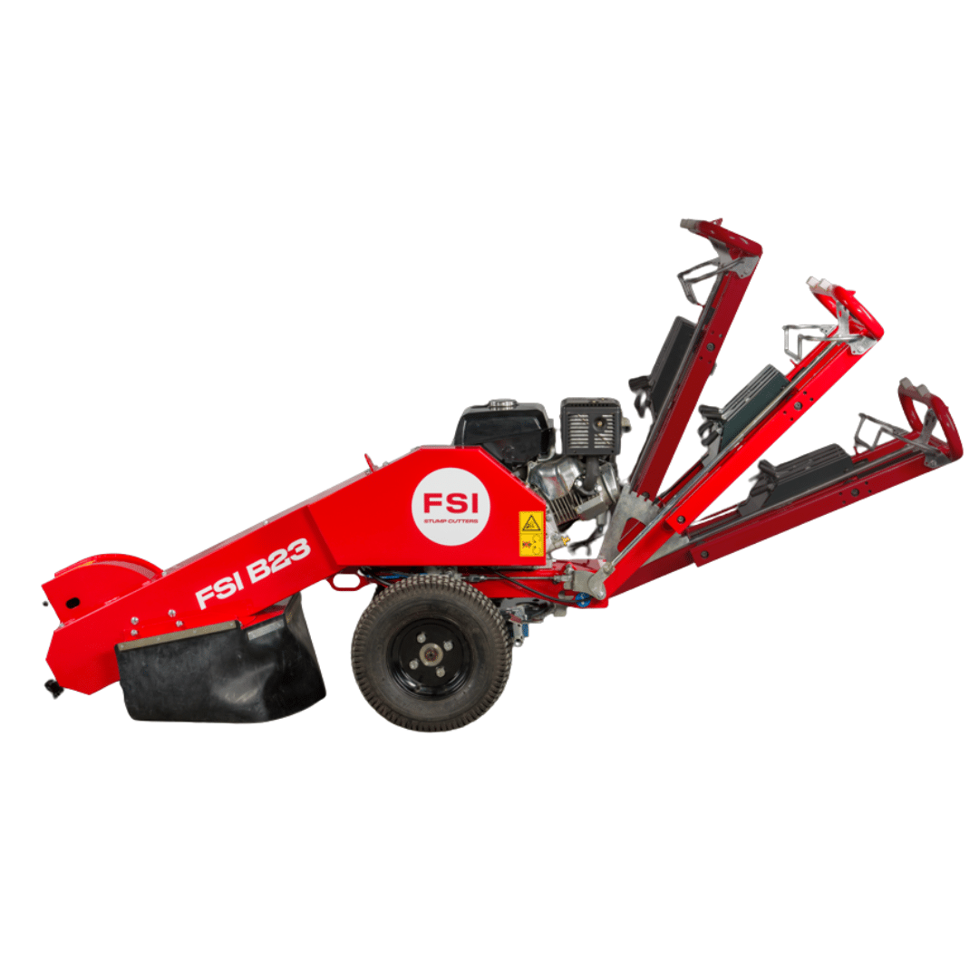 Untitled design - 2026-01-08T131849.134