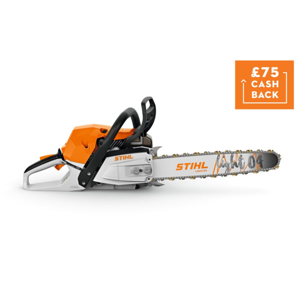 MS 300 Petrol Chainsaw