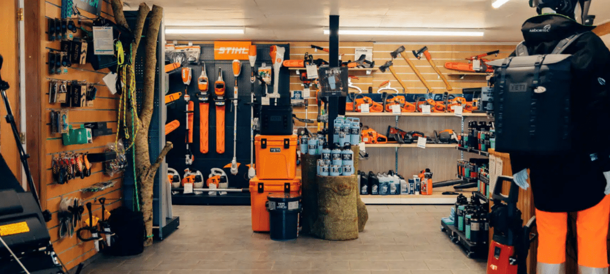 Untitled design - 2026-01-26T105608.194