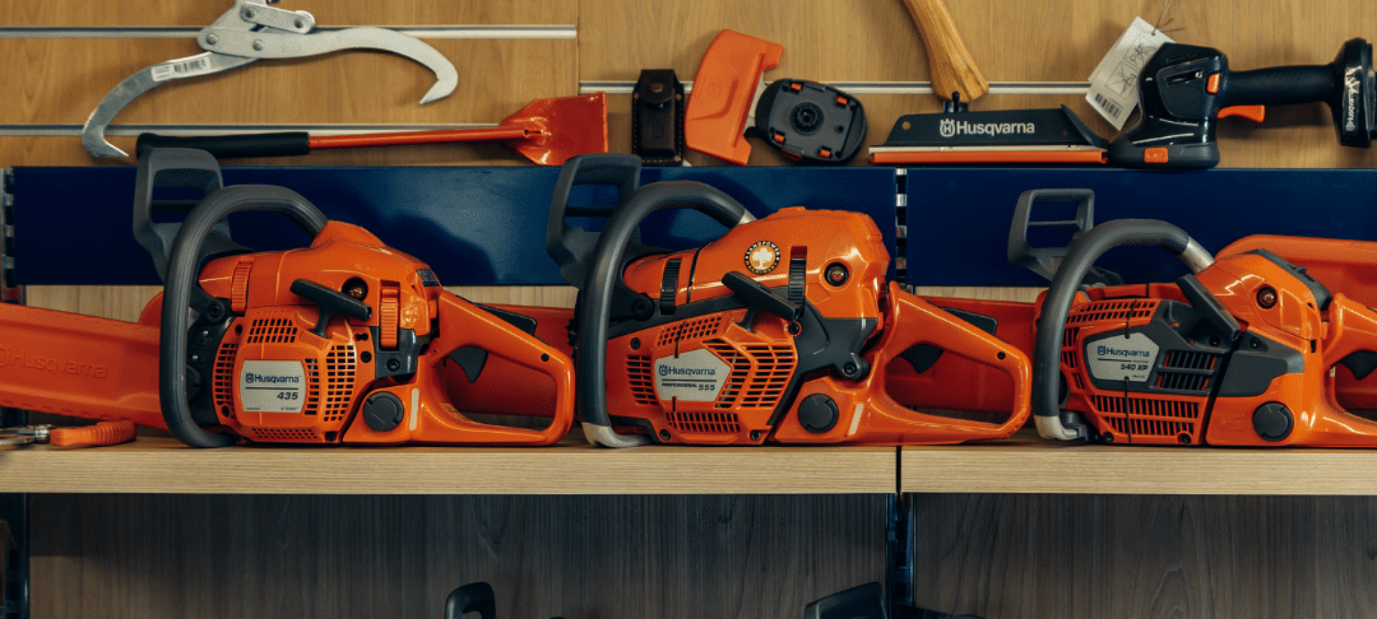 Untitled design - 2026-01-26T112156.323