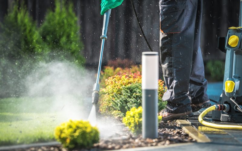 Backyard Garden Paths Cleaning with Pressure Washer.